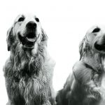 Amy & Evan [The Flash Affair]-4